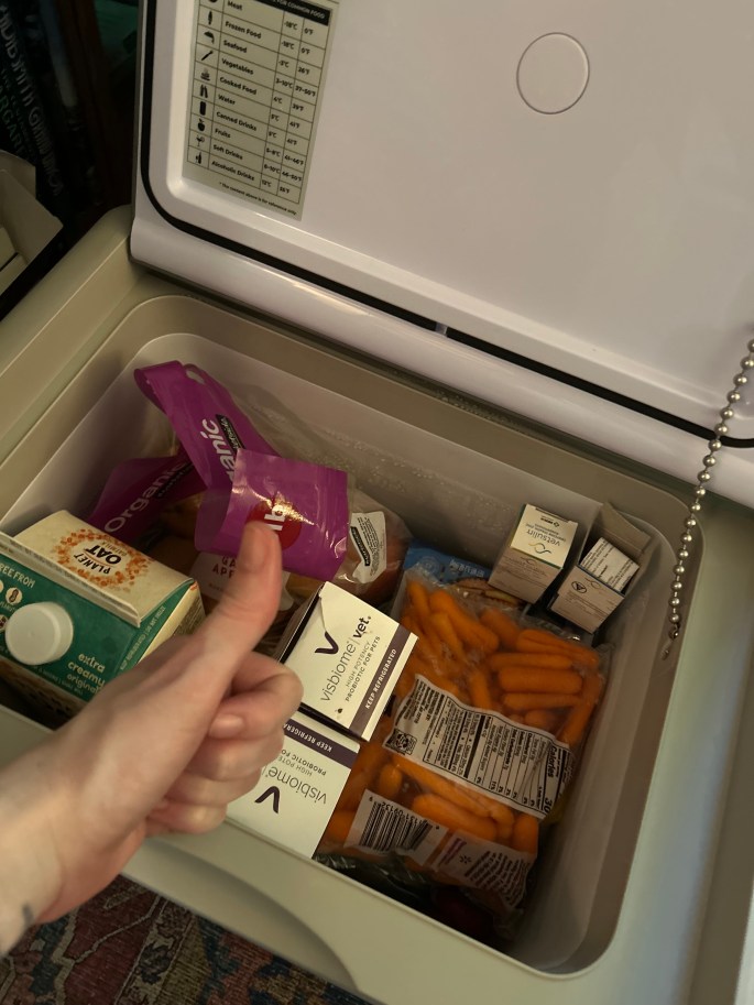 BougeRv fridge in no build Jeep setup