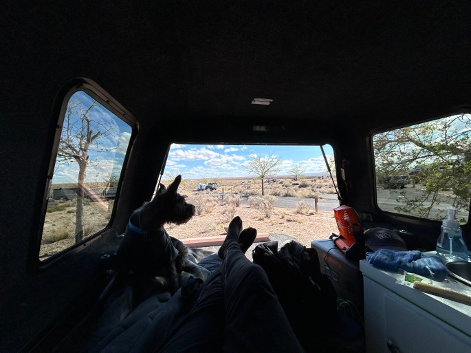 View from the back of a truck camper with a mini schnauzer resting inside and desert landscape visible through the windows
